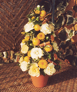 �t�����[�R�[��