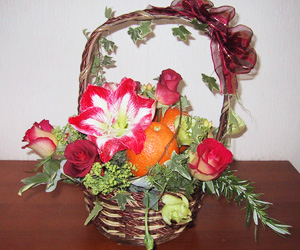 �t���[�c���g�����A�����W�����g