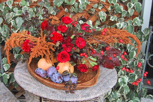 �g���C�ɏ���A�����W�����g�ƃt���[�c