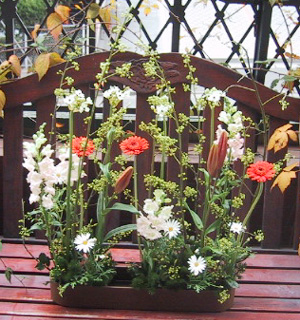 �p������II