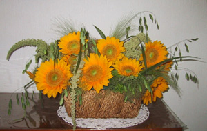 �V�[�Y���A�����W�����g�iSummer�j