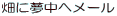 ���ɖ����փ��[��
